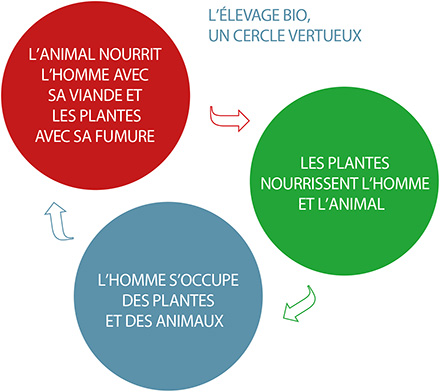 L'élevage bio, un cercle vertueux