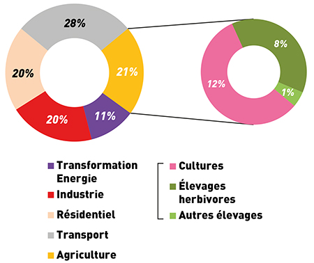 L'élevage herbivore contribue pour 8 % aux émissions de gaz à effet de serre en France. COP21 : l’atténuation de l’empreinte carbone est engagée 