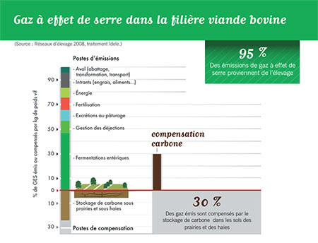 Un tiers des émissions de carbone compensé