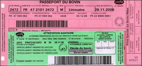 identification passeport bovins 