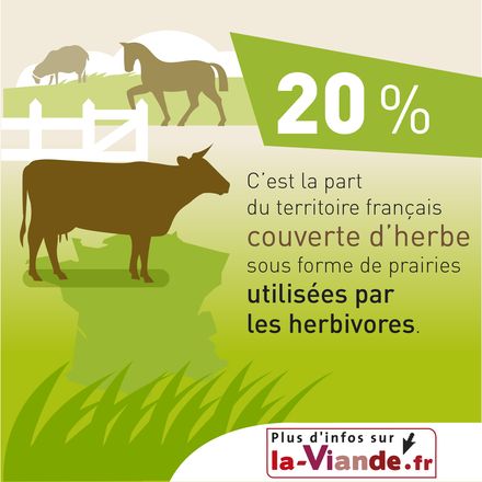 L'élevage herbivore et l'aménagement du territoire