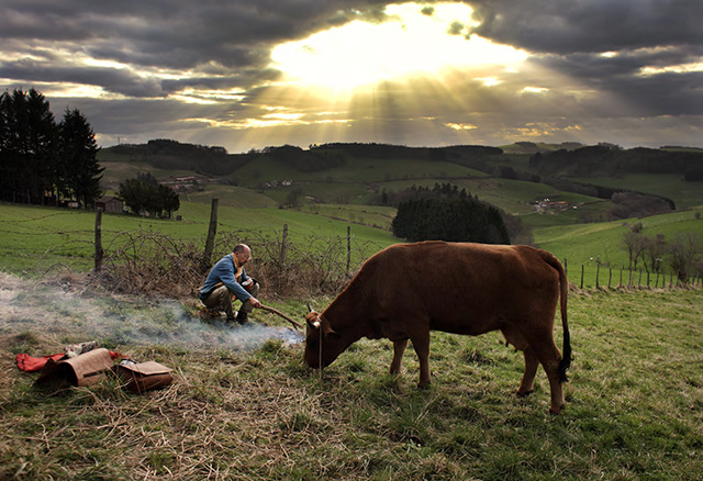 La Vache le film