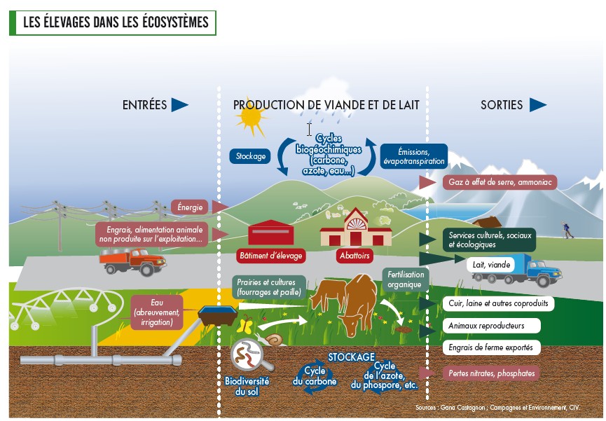 Les élevages dans les écosystèmes