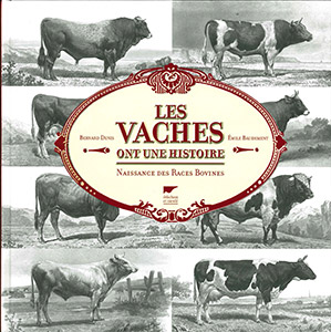 Les vaches ont une histoire, naissance des races bovines.