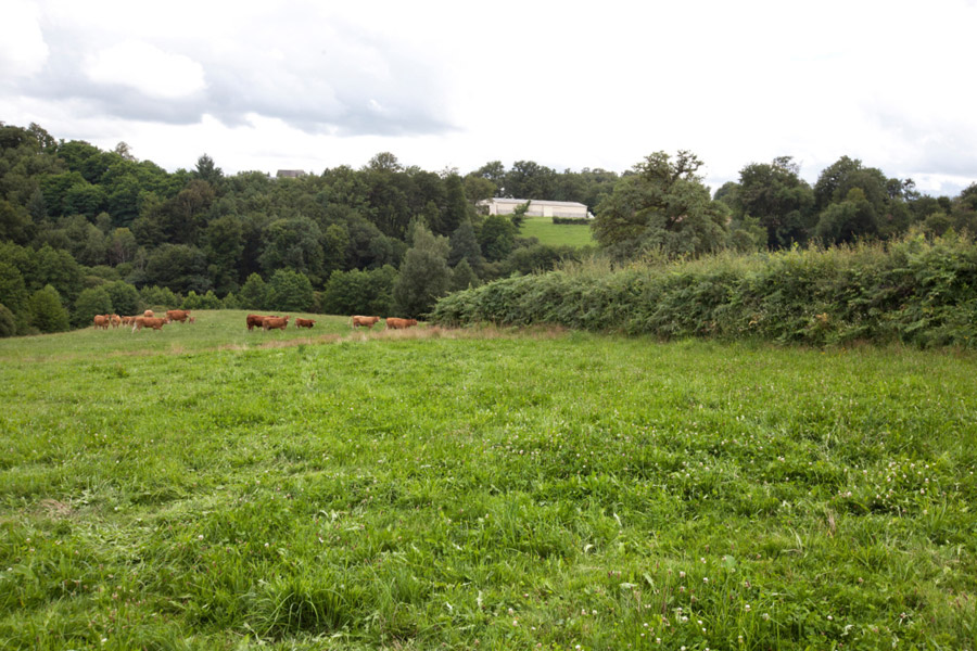 Les haies et la biodiversité