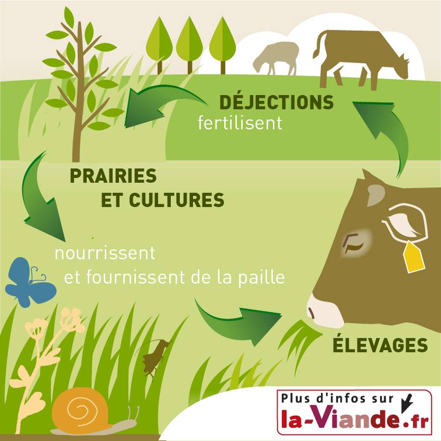 La gestion des engrais de ferme