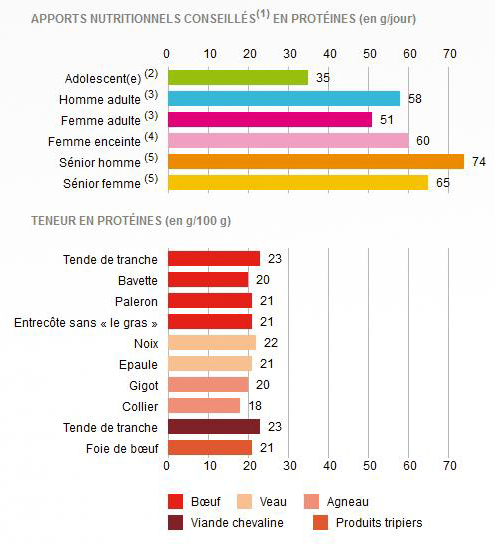 Apports nutritionnels journaliers en proteines