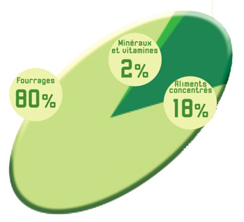 Composition moyenne de la ration alimentaire d’un bovin adulte