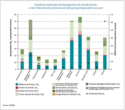 Nouveaux rapports de la FAO : une réévaluation encourageante des émissions de gaz a effet de serre pour l’élevage de ruminants en France