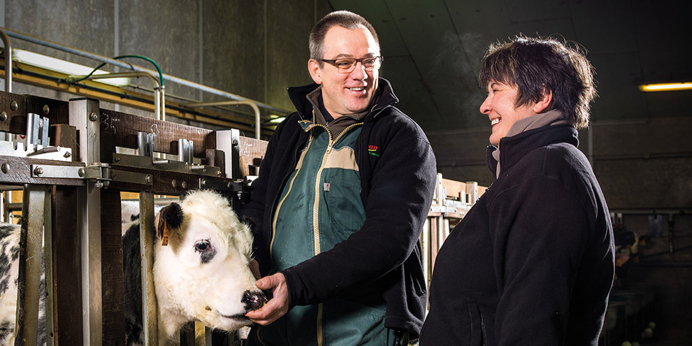 Mise en marché des animaux