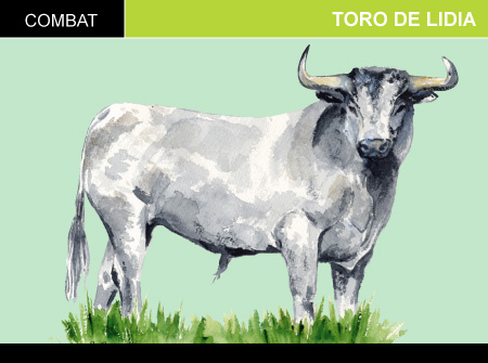 Toro de Lidia