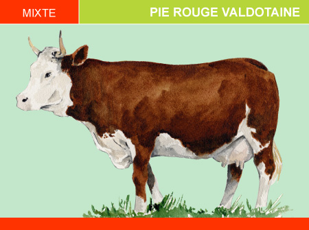 Pie Rouge Valdotaine