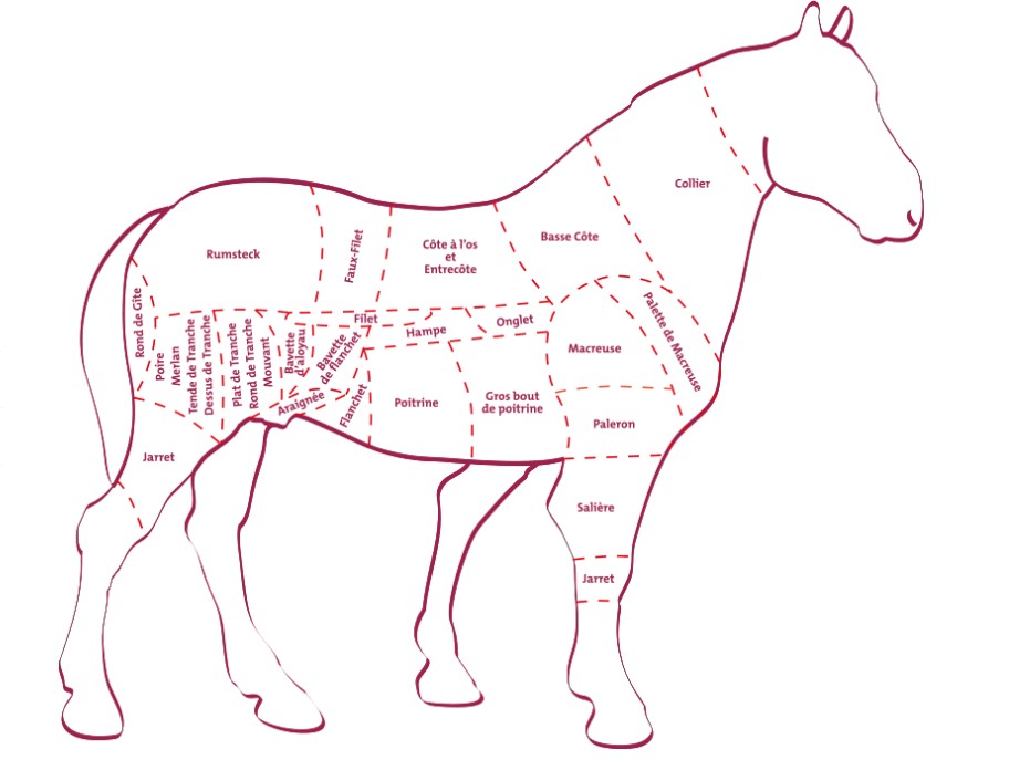 Les morceaux du cheval