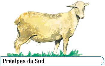 Préalpes du sud