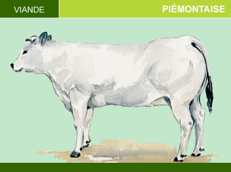 Piémontaise
