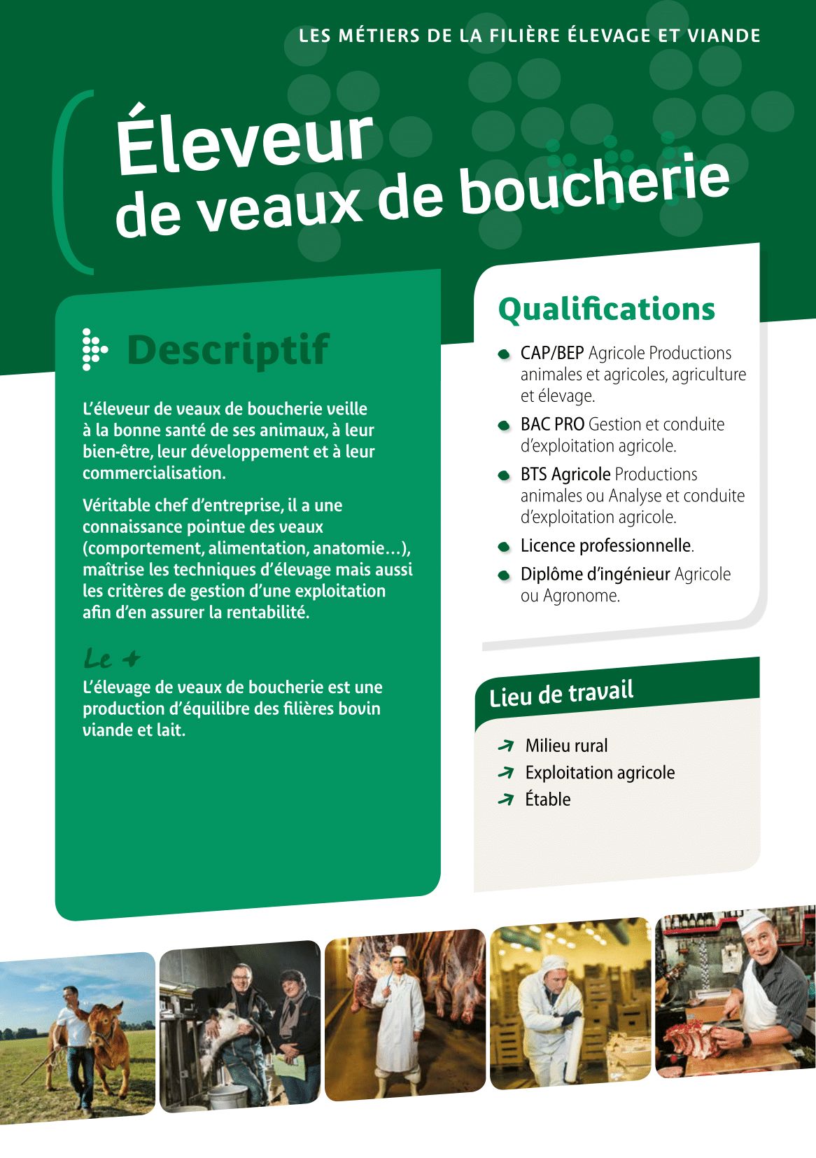 Eleveur de veaux de boucherie