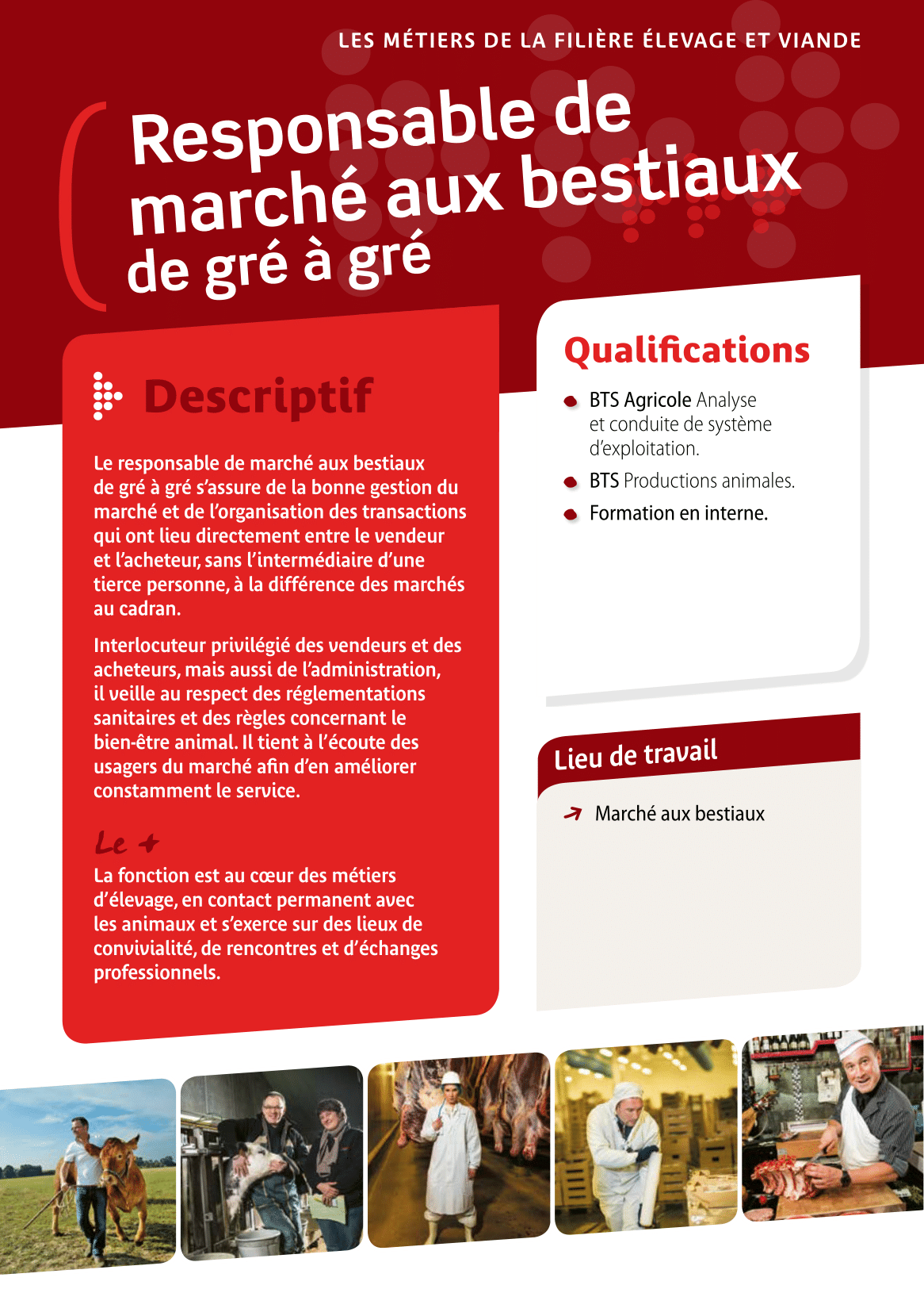 Responsable de marché aux bestiaux de gré à gré