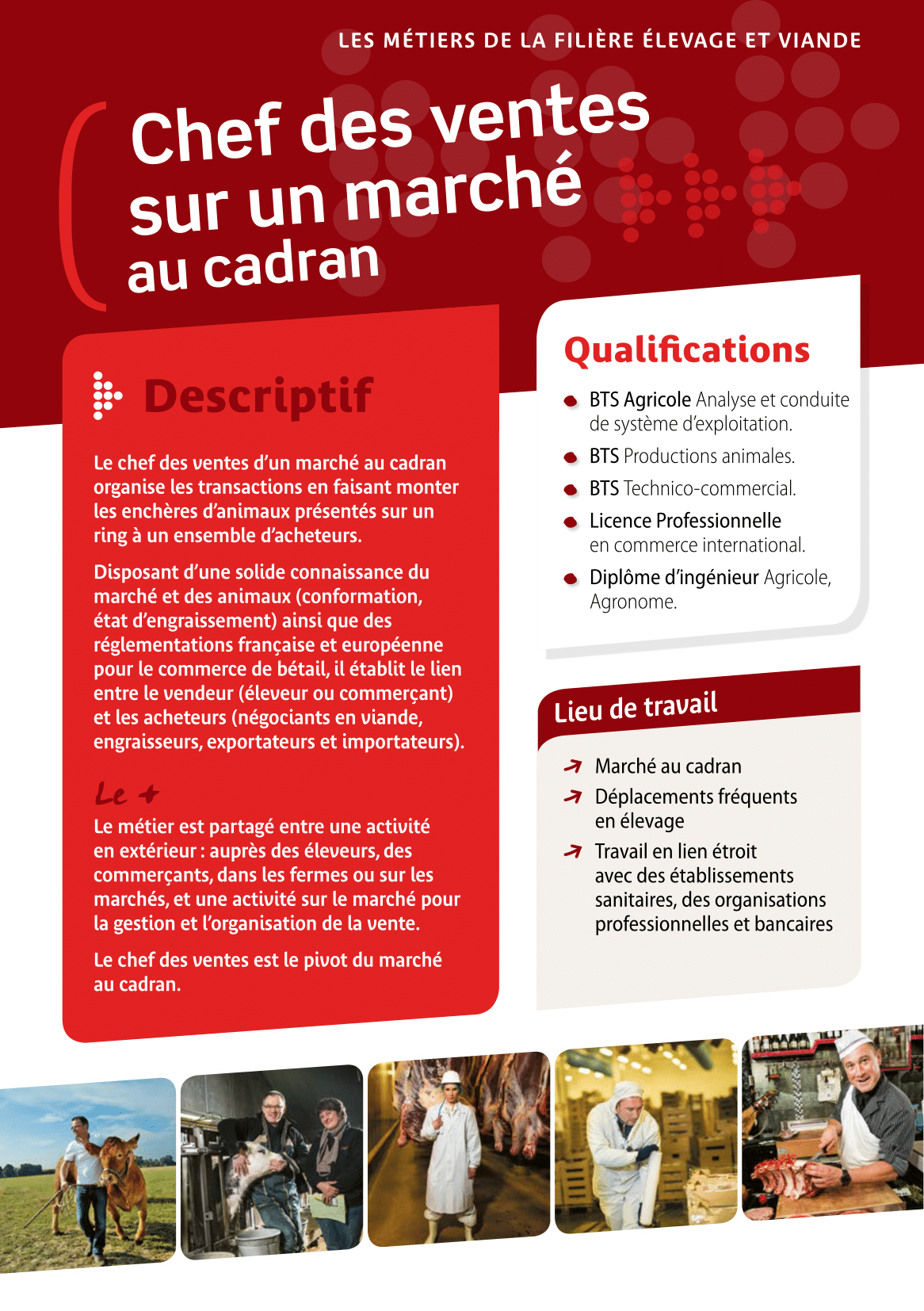 Chef de ventes sur un marché au cadran