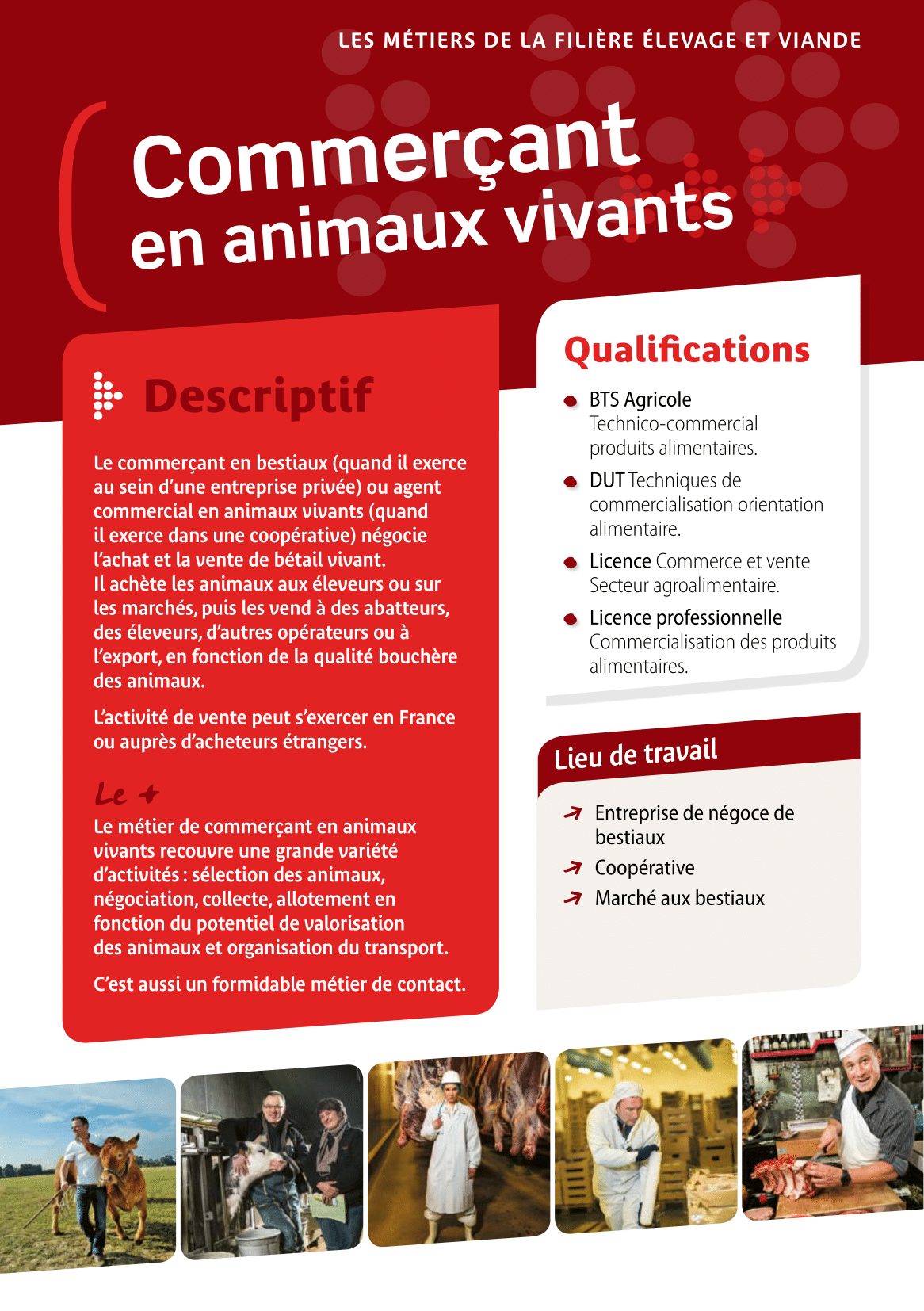 Commerçant en animaux vivants