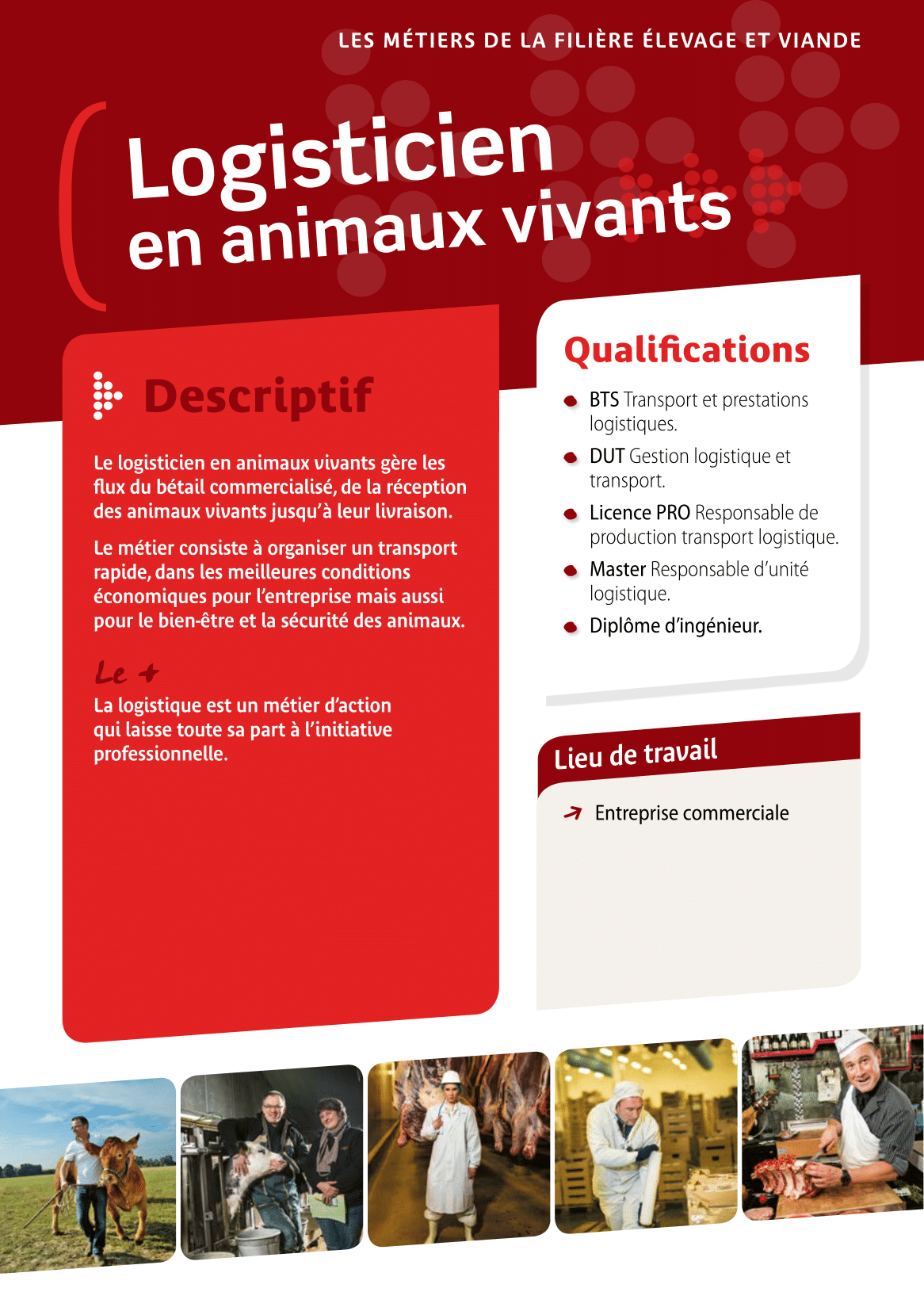 Logisticien en animaux vivants