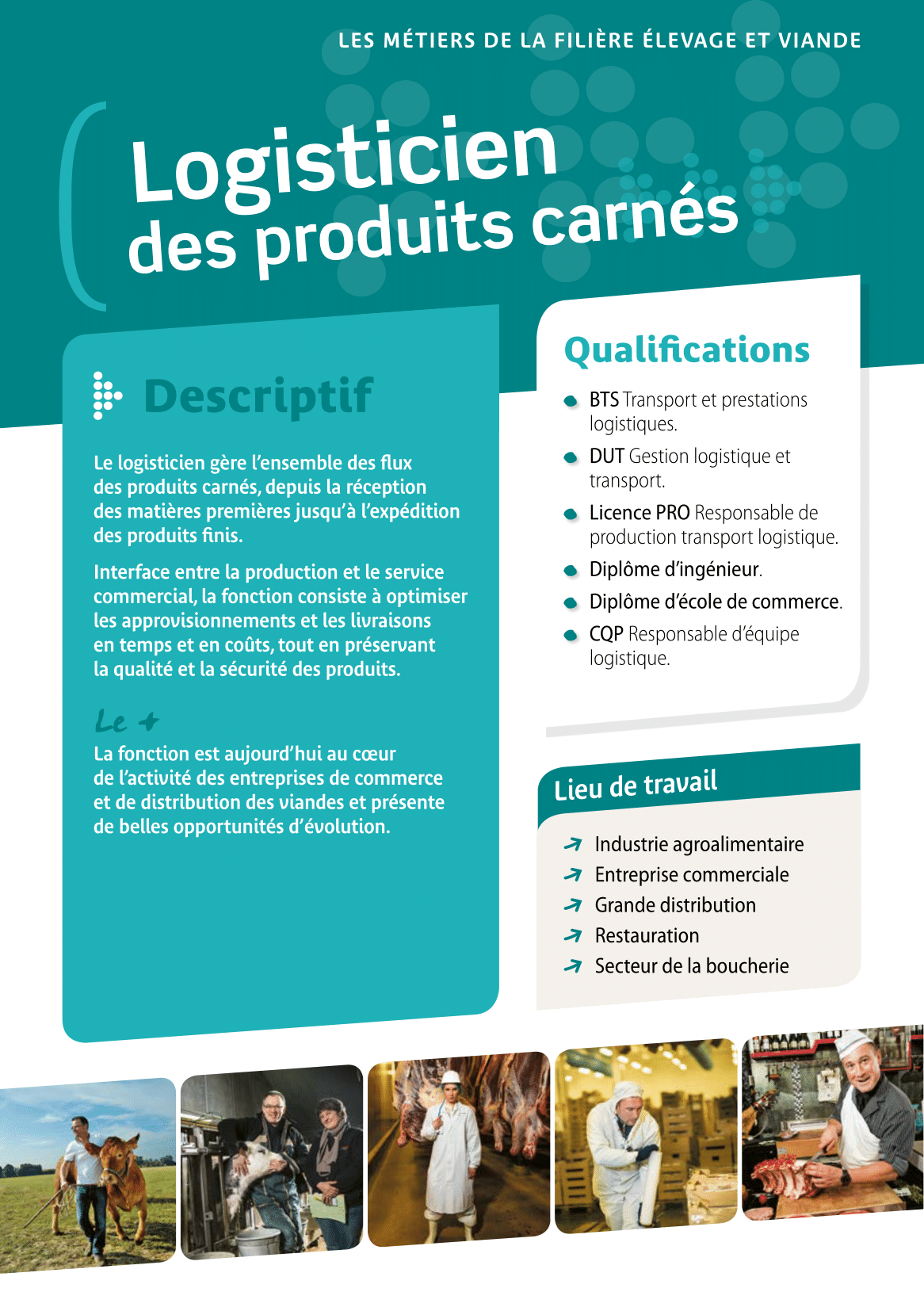 Logisticien en produits carnés