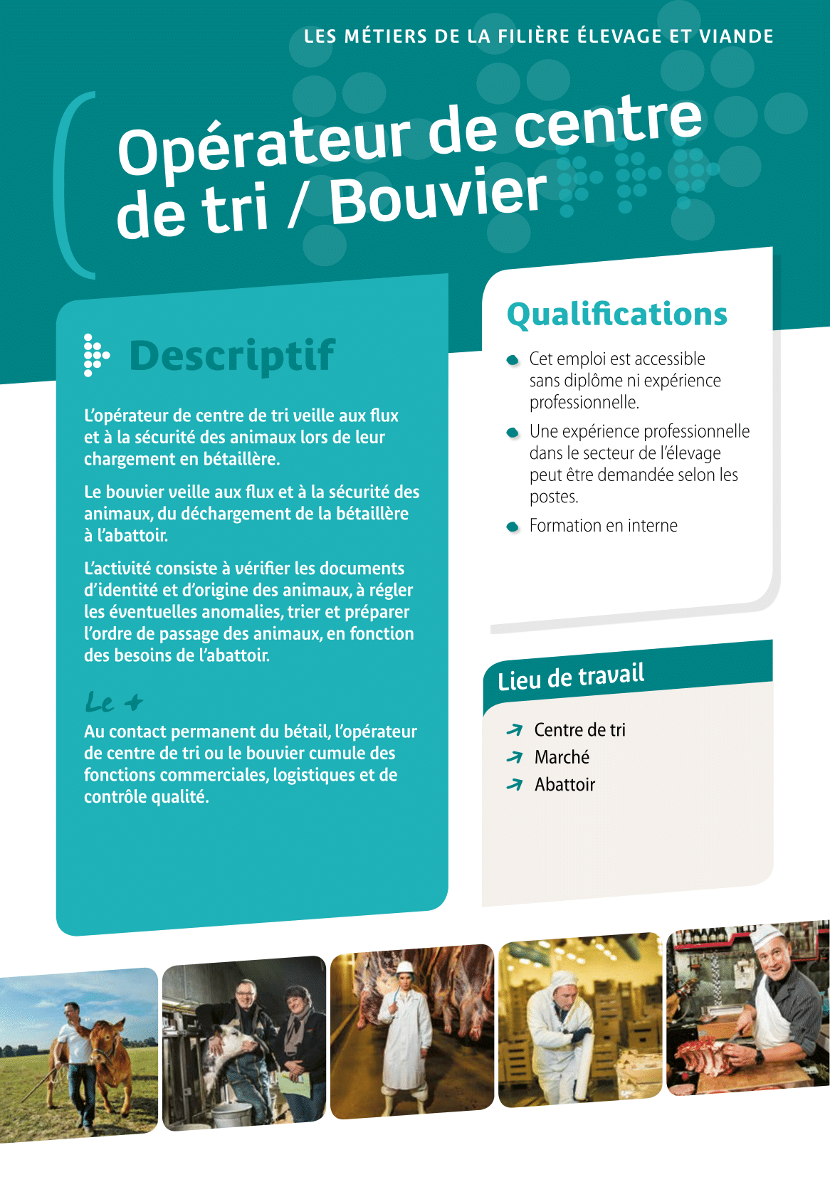 Opérateur de centre de tri/bouvier