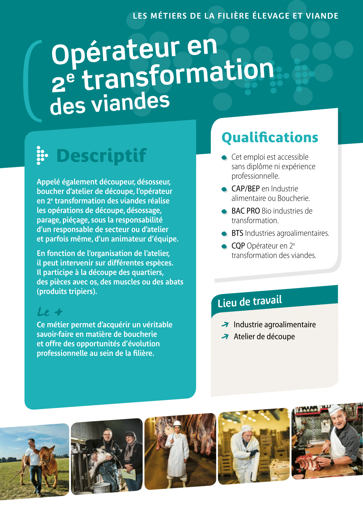 Opérateur en deuxième transformation des viandes