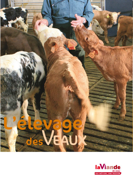 L'élevage des veaux