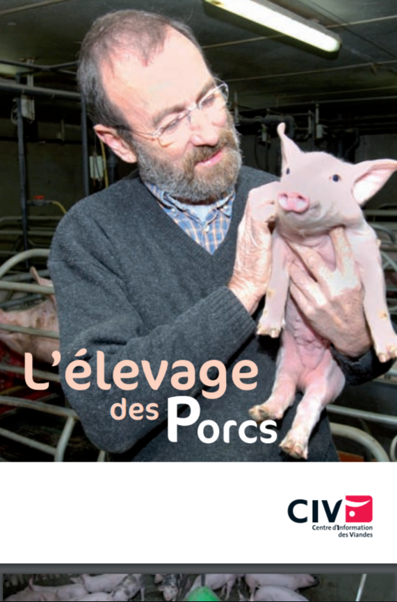 L'élevage des porcs