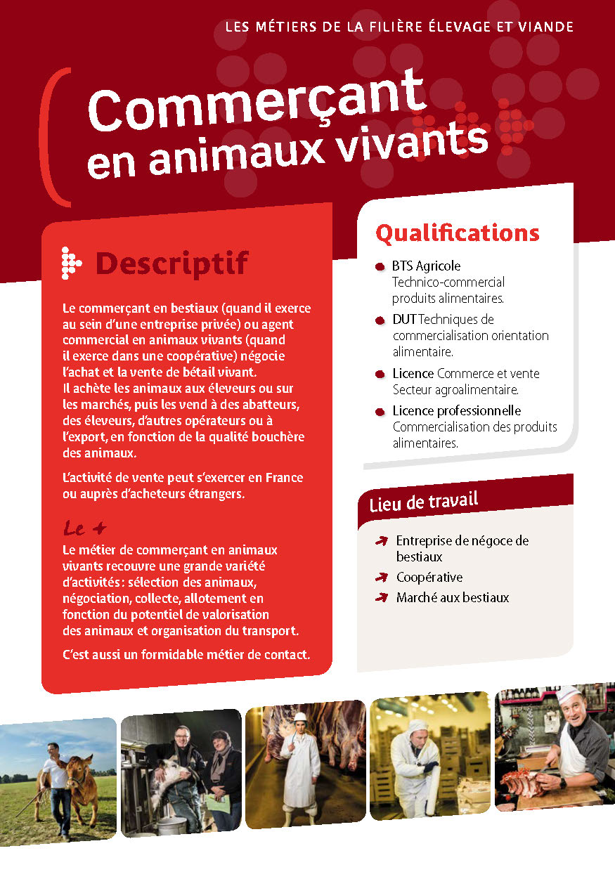 Commerçant en animaux vivants