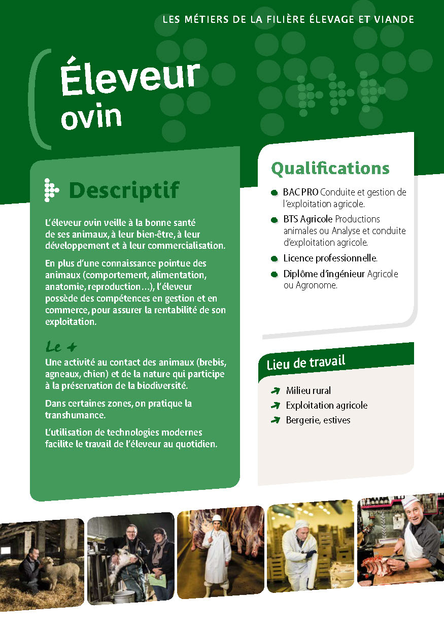 Éleveur ovin