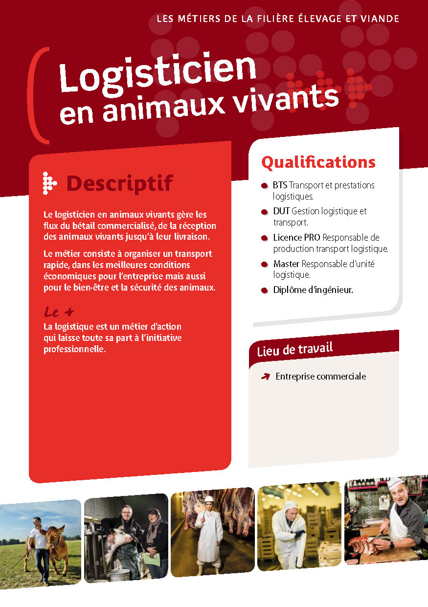 Logisticien en animaux vivants