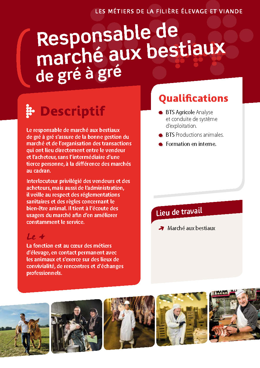 Responsable de marché aux bestiaux de gré à gré