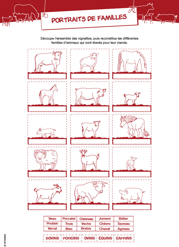 Guide d’accueil des scolaires chez les professionnels de la filière de l’élevage et des viandes - les fiches pédagogiques à télécharger