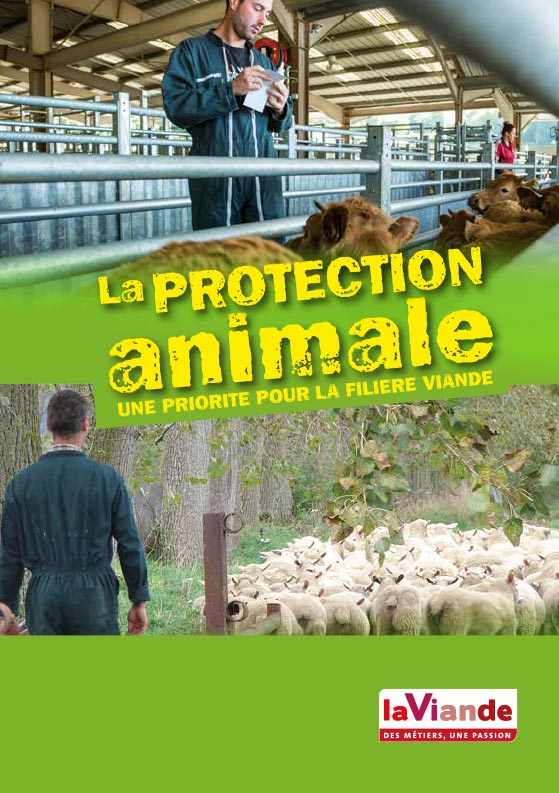 La protection animale, une priorité pour la filière viande