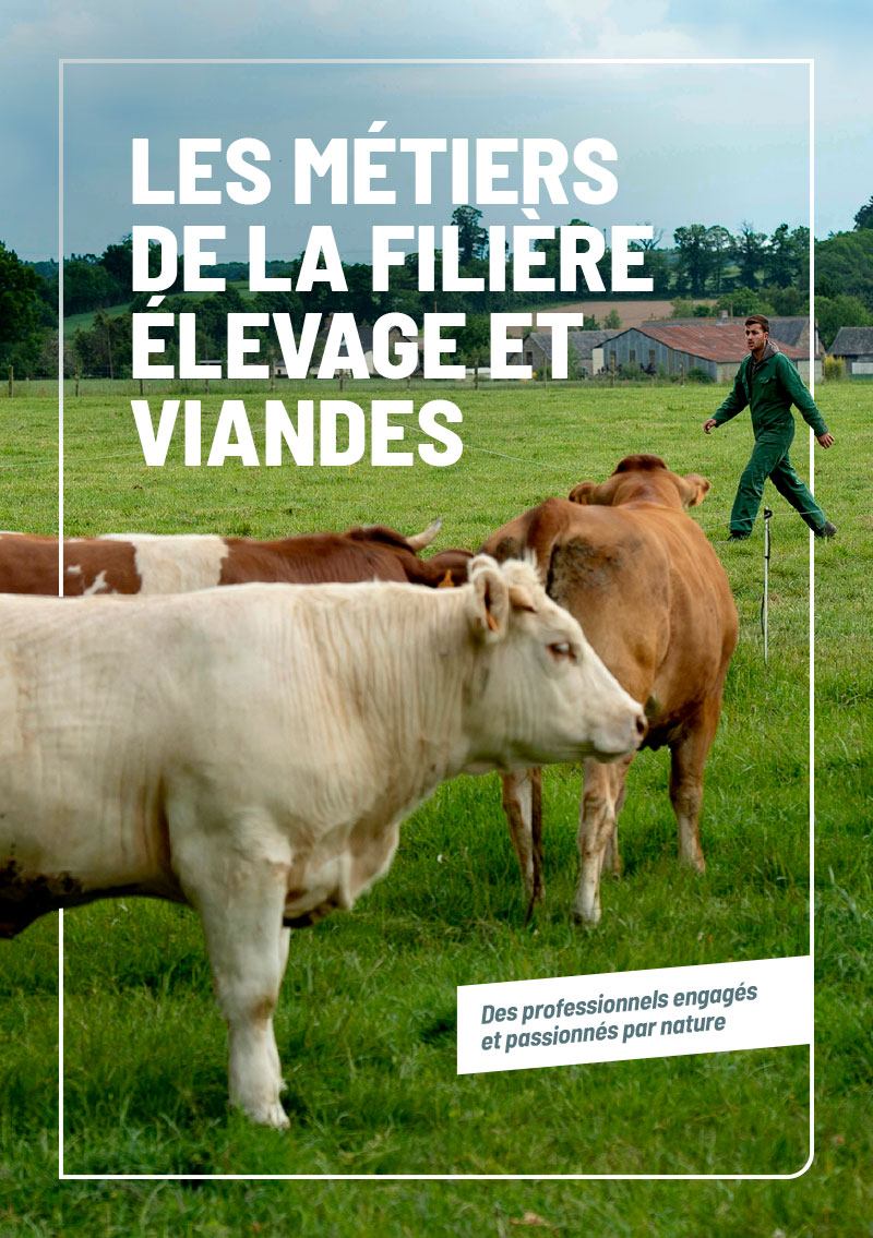 Les métiers de la filière élevage et viandes