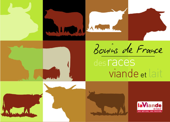 Bovins de France, des races viande et lait