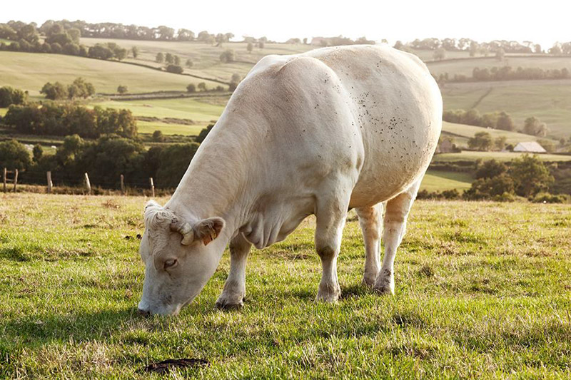 Atlas Bourgogne Franche-Comté