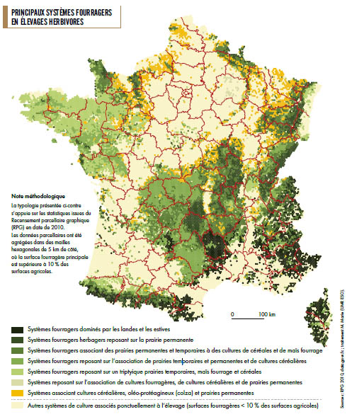 Récolter l'herbe au printemps pour faire du stock fourrager