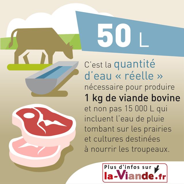 Consommation d'eau et production de viande bovine Environnement & Ethique Laviande.fr