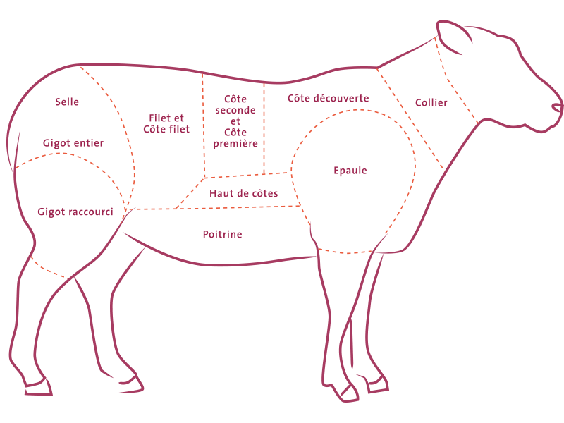 Les Morceaux De L agneau Cuisine Achat La viande fr Les Morceaux De L agneau Cuisine Achat La viande fr