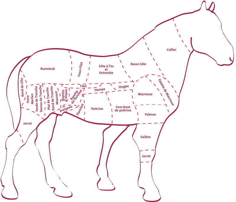 Le filet de cheval, Cuisine & Achat