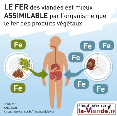 Le fer des viandes est mieux assimilable par l'organisme que le fer des produits végétaux