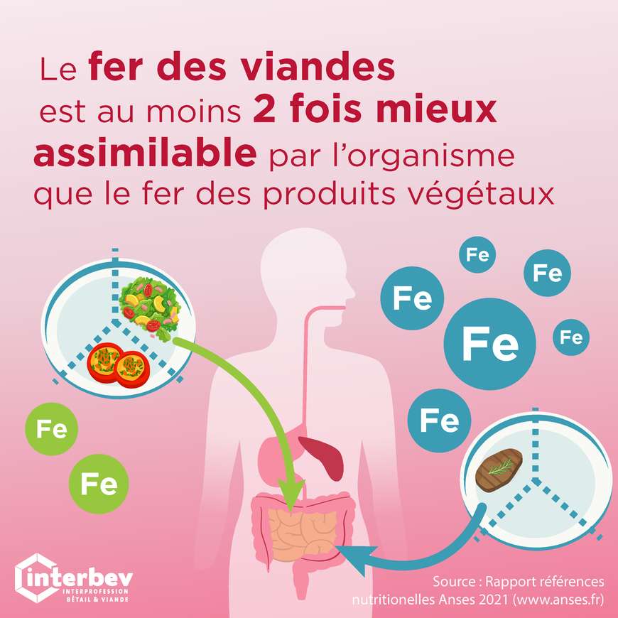 Le fer des viandes est mieux assimilable par l'organisme que le fer des produits végétaux