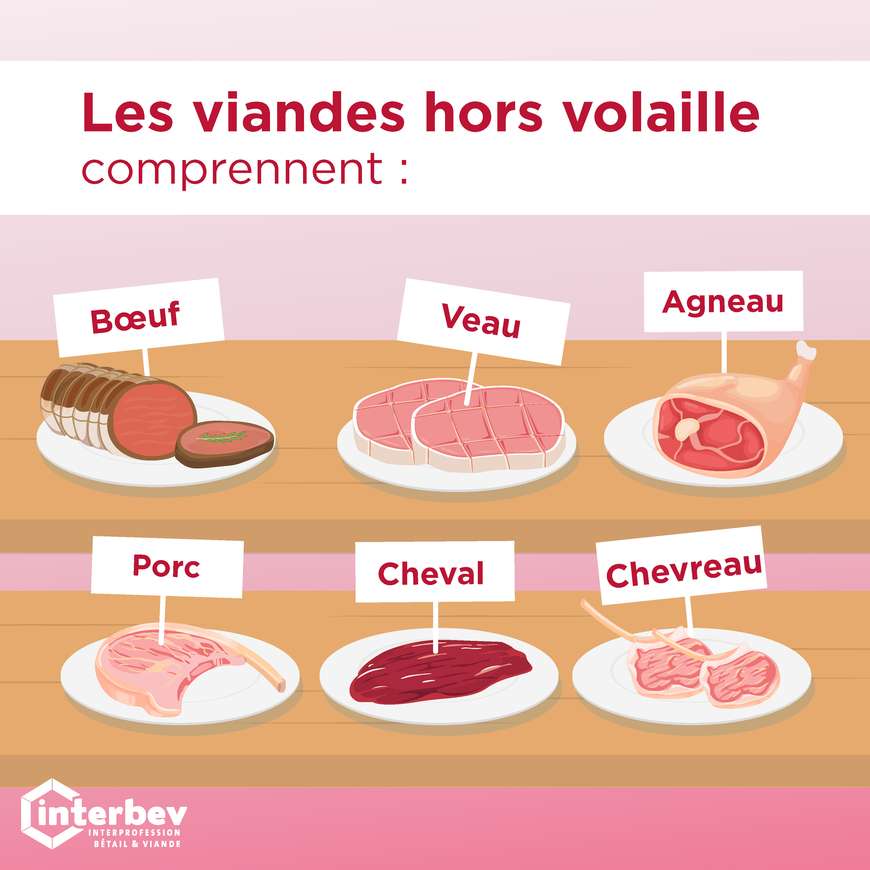 Les viandes de boucherie comprennent 6 espèces