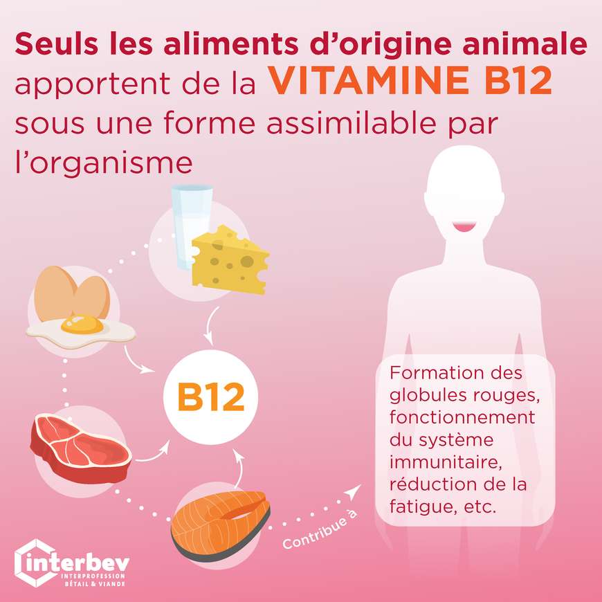 ALIMENTATION_VITAMINE_B12_ILLUSTRATION_CARREE