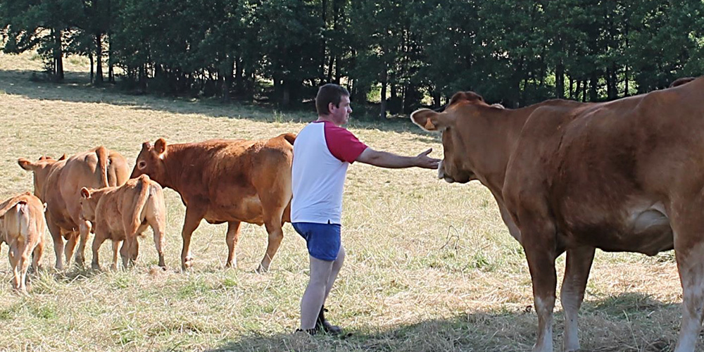 Atlas Picto-Charentais de l'élevage herbivore