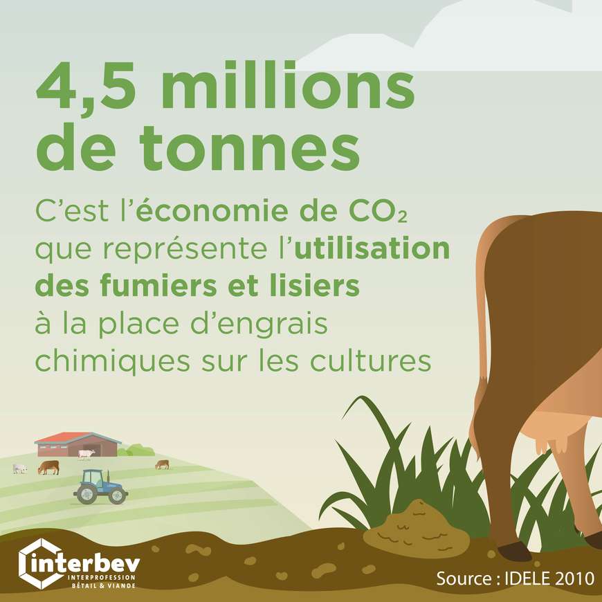 ENVIRONNEMENT_ECONOMIES_CO2_ILLUSTRATION_CARREE