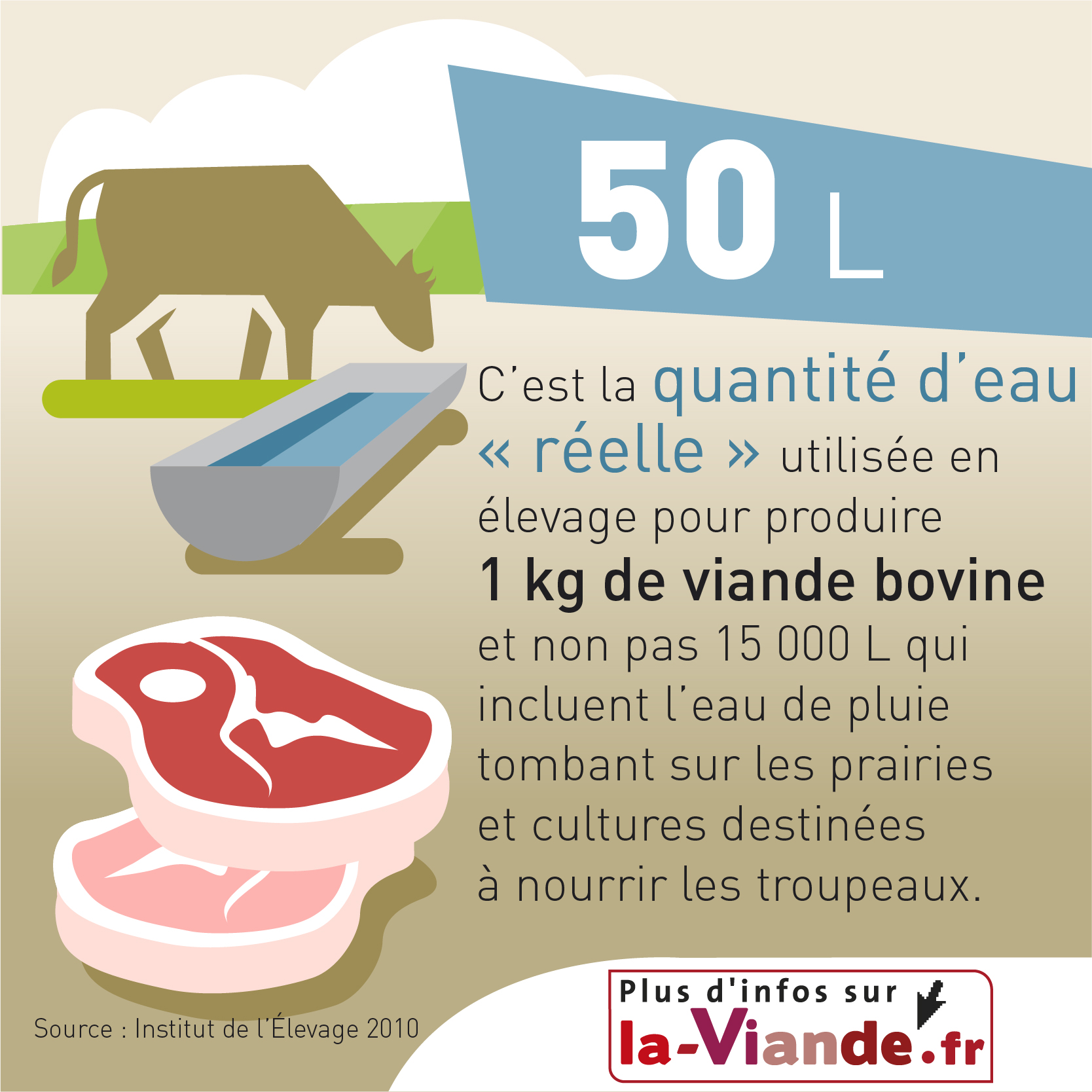 Consommation d'eau et production de viande bovine