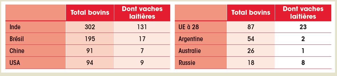 Les principaux cheptels bovins en 2019 (Millions de têtes)